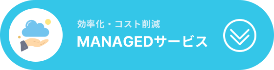 効率化・コスト削減MANAGEDサービス